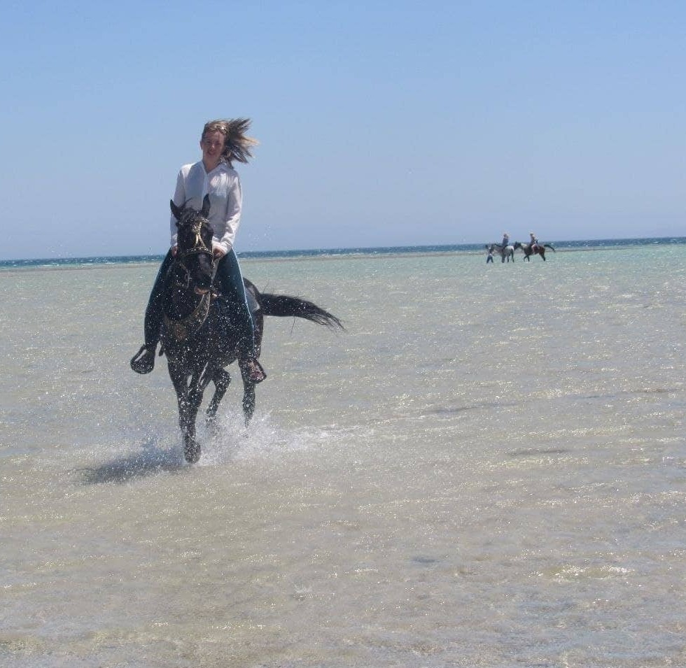 horse riding trips in Hurghada